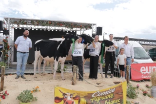 Palmarès des concours Show open génisses 2026 de la Loire