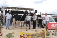 Palmarès des concours Show open génisses 2026 de la Loire