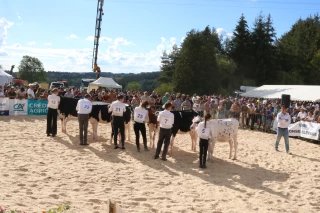 « L’avenir de l’élevage laitier ligérien a défilé dans le ring »