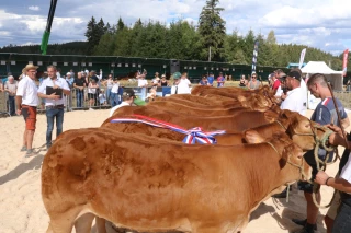 Palmarès du concours départemental limousin 2026 de la Loire