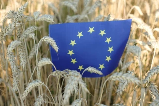 Agriculture européenne : renforcer la compétitivité face aux défis
