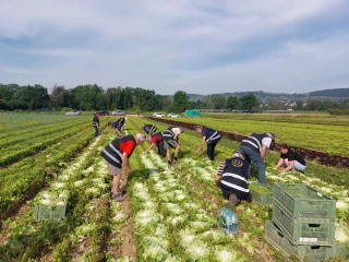 « La générosité, c’est un mot qui parle aux agriculteurs de la Loire »