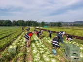 « La générosité, c’est un mot qui parle aux agriculteurs de la Loire »
