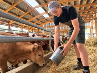 Bachelor agro : une nouvelle formation pour préparer les métiers de l’agriculture