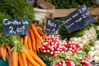 Petites exploitations agricoles : quelle viabilité économique en maraîchage et arboriculture ?