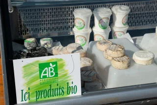 Lait bio : la filière régionale cherche encore son équilibre