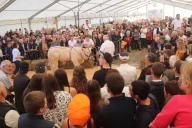 Catalogue de la vente Ajec Loire 2026