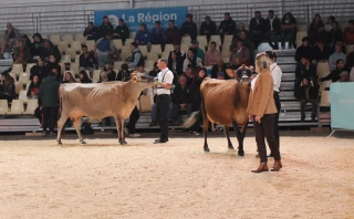 Sommet de l’élevage 2026 : la Loire sur le podium