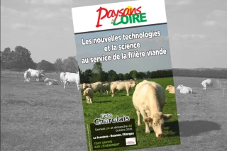 Fête du charolais 2026 : tout savoir grâce au hors-série