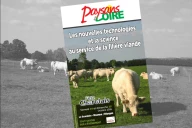 Fête du charolais 2026 : tout savoir grâce au hors-série