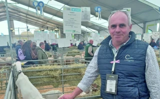 La filière caprine recherche de nouveaux producteurs