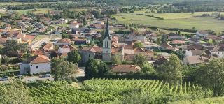 L'info locale du 10 décembre 2021