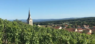 L'info locale du 4 juin