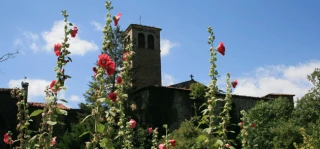 L'info locale du 30 avril
